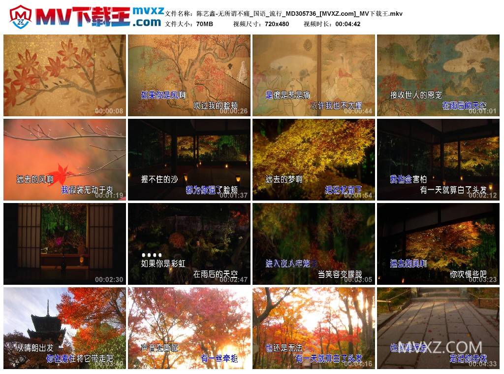 陈艺鑫-无所谓不痛_国语_流行_MD305736